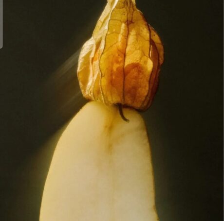 1c3a6b88-c9ec-4f2c-af72-e4745ef89970