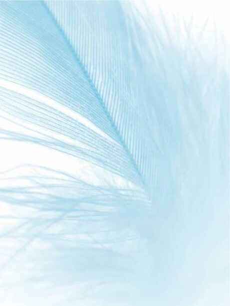 6497df22-be2b-47d7-bea6-13ad6862ddc2