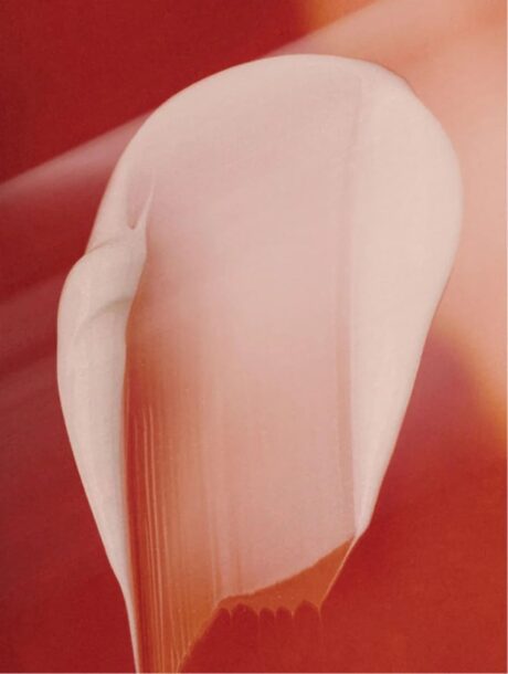 65b91830-eba7-4ab9-a1ef-19ac0d851e9b