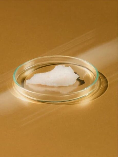 95bf90dd-a849-402a-84f2-c5b644608c2c