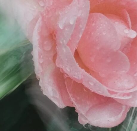 1192e39a-1c03-4d65-bd43-24ba732cda65