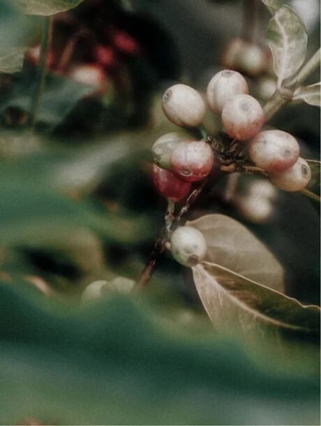 bd0260c9-d279-46ab-bf80-1dd3e603c5fe