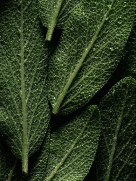 03325432-92d9-4c10-9bcb-34c6230a72f9