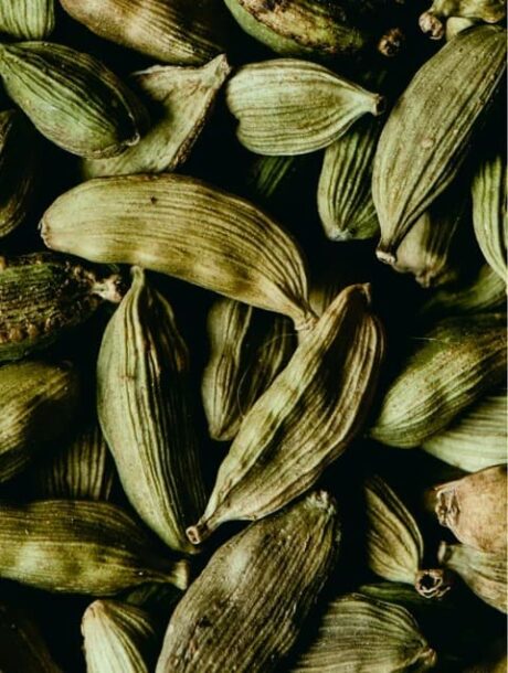 2b8478fb-ee59-46e3-ae7f-d382f70ee2a0