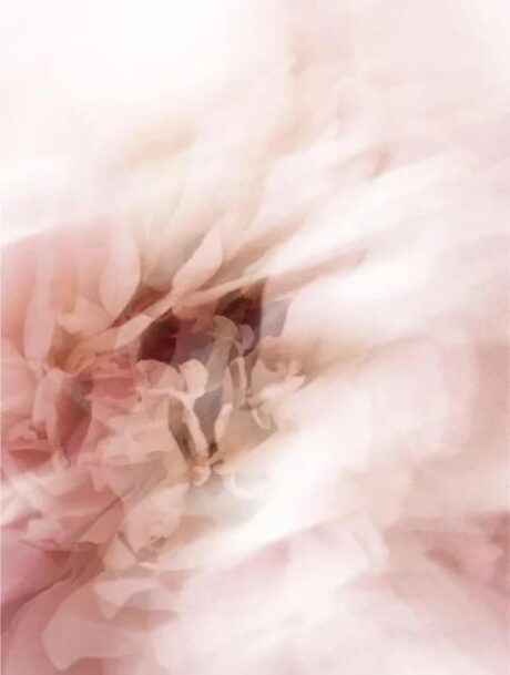 41317a5d-3695-4fed-9e4a-c9c44e749a54