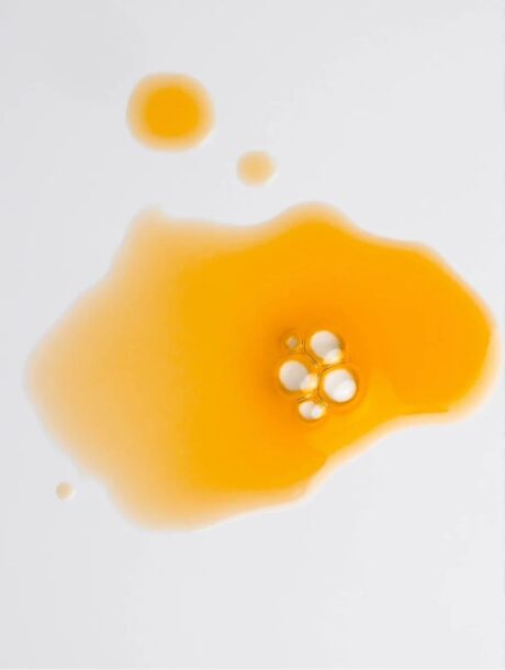 8a46cf4b-1529-4d73-b909-1888ecb733e0