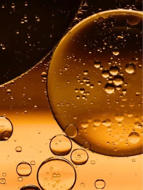 bb79f7ef-6c43-4fe3-b508-395768248bb1